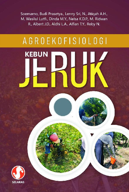 Agroekofisiologi kebun jeruk